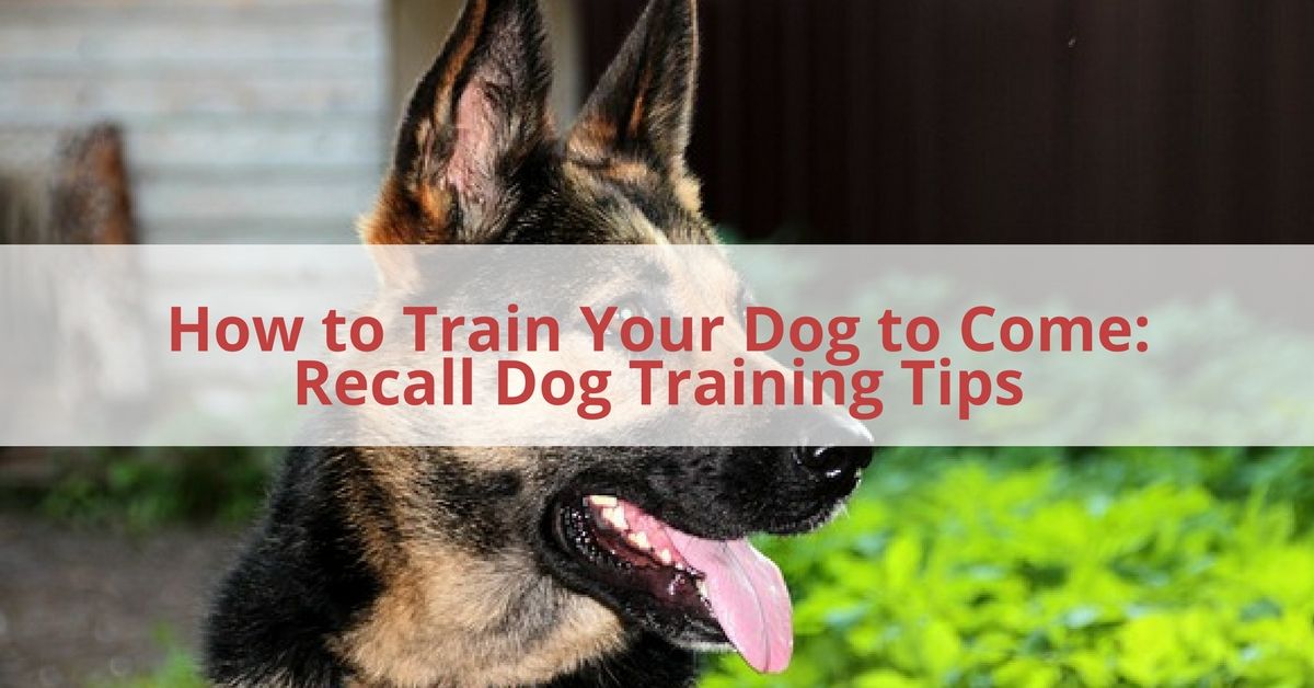 1294C70E-57A0-4135-A6CF-87DD6A620BD2