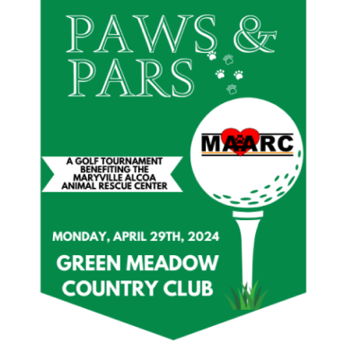 PARS-AND-PAWS-1-1-480x480 1